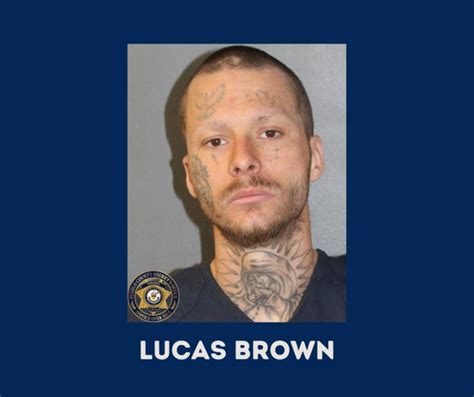 pcso inmate|jail inmate lookup.